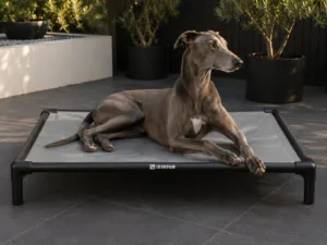 Candid lifestyle photo of a Greyhound lying elegantly on an IronPaw Slate elevated dog bed with glossy neutral grey PVC fabric, matte black aluminium frame, rounded corner connectors, bare tube legs, and a pale laser-engraved logo centred on the front rail, set on dark charcoal tiles in a modern Australian patio with black planters and olive trees.