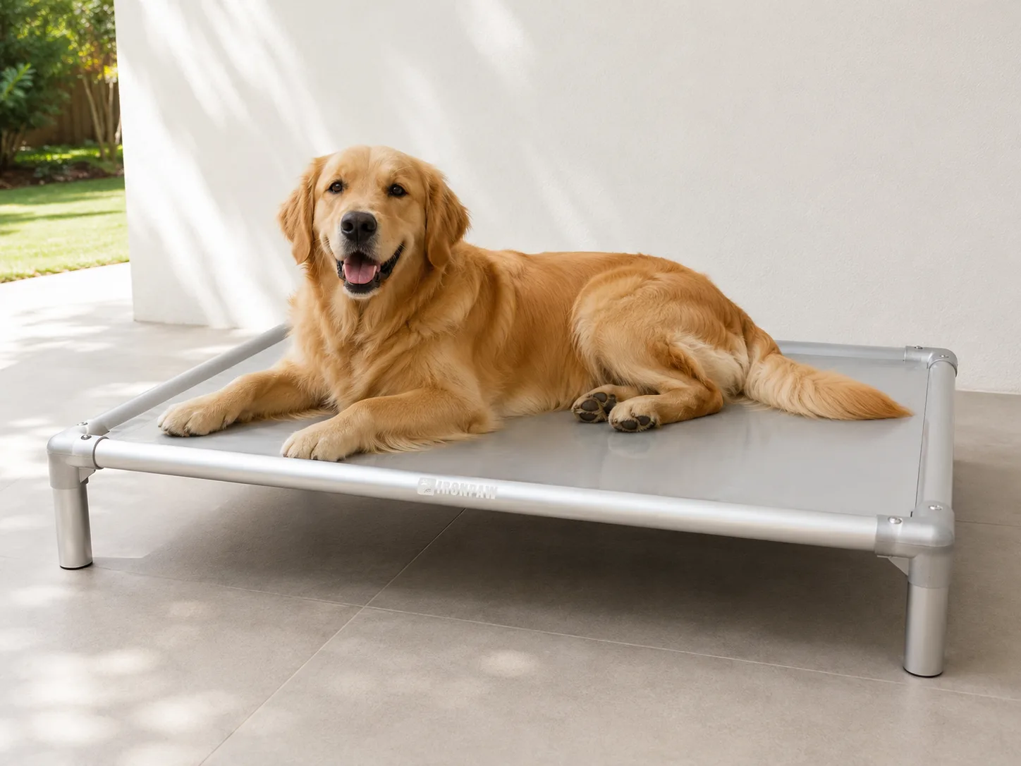 Golden Retriever lying relaxed on the Mist Elevated Dog Bed in a bright Australian alfresco area, with glossy neutral grey PVC fabric, brushed silver aluminium frame, rounded corner connectors, bare tube legs, and centred pale IronPaw engraving on the front rail.