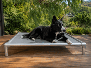 Border Collie resting on a rectangular grey PVC elevated dog bed with a brushed silver aluminium frame on a sunlit timber deck surrounded by lush garden foliage.