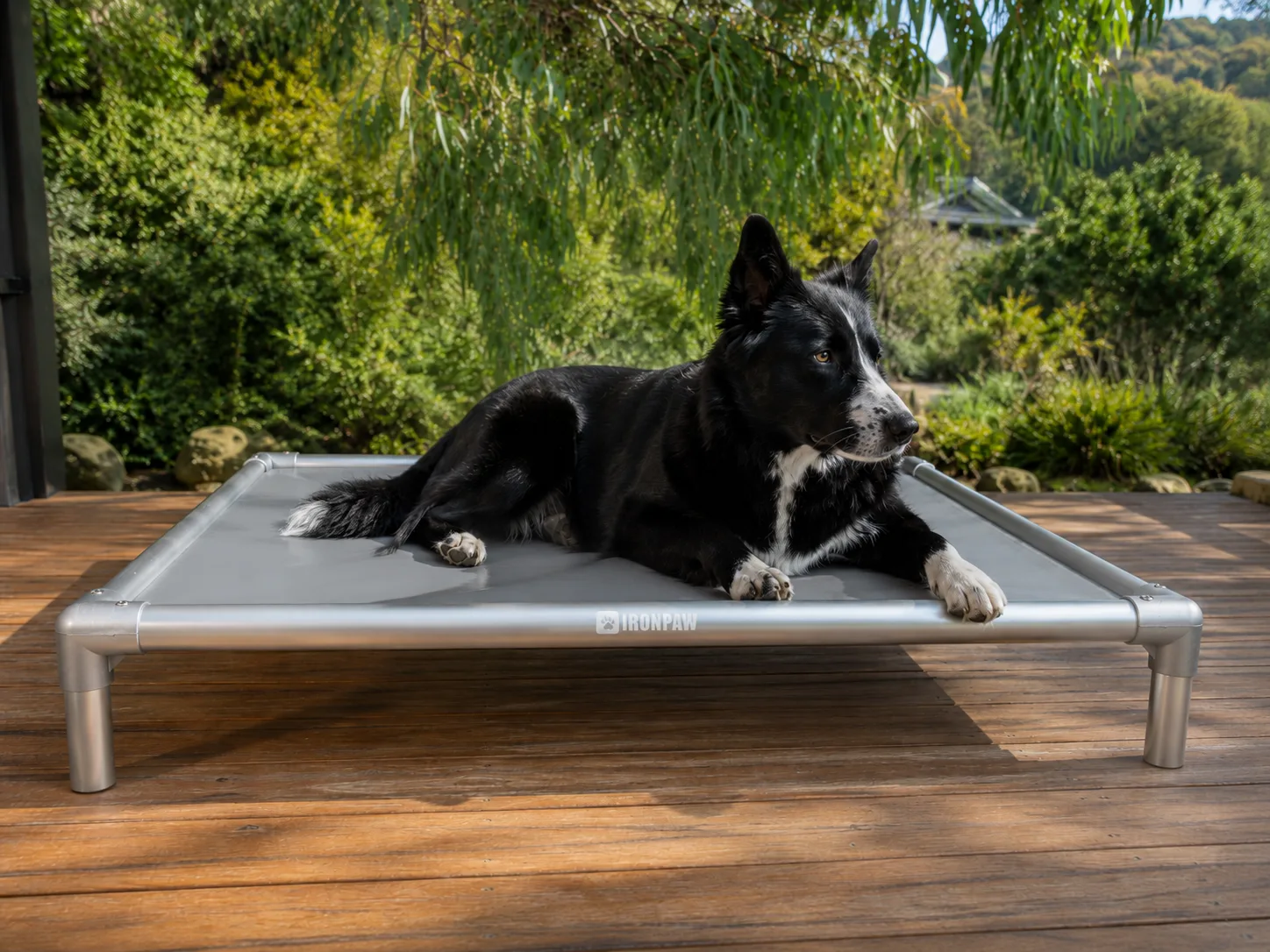 Border Collie resting on a rectangular grey PVC elevated dog bed with a brushed silver aluminium frame on a sunlit timber deck surrounded by lush garden foliage.